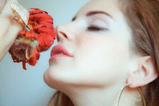 13928743.gif